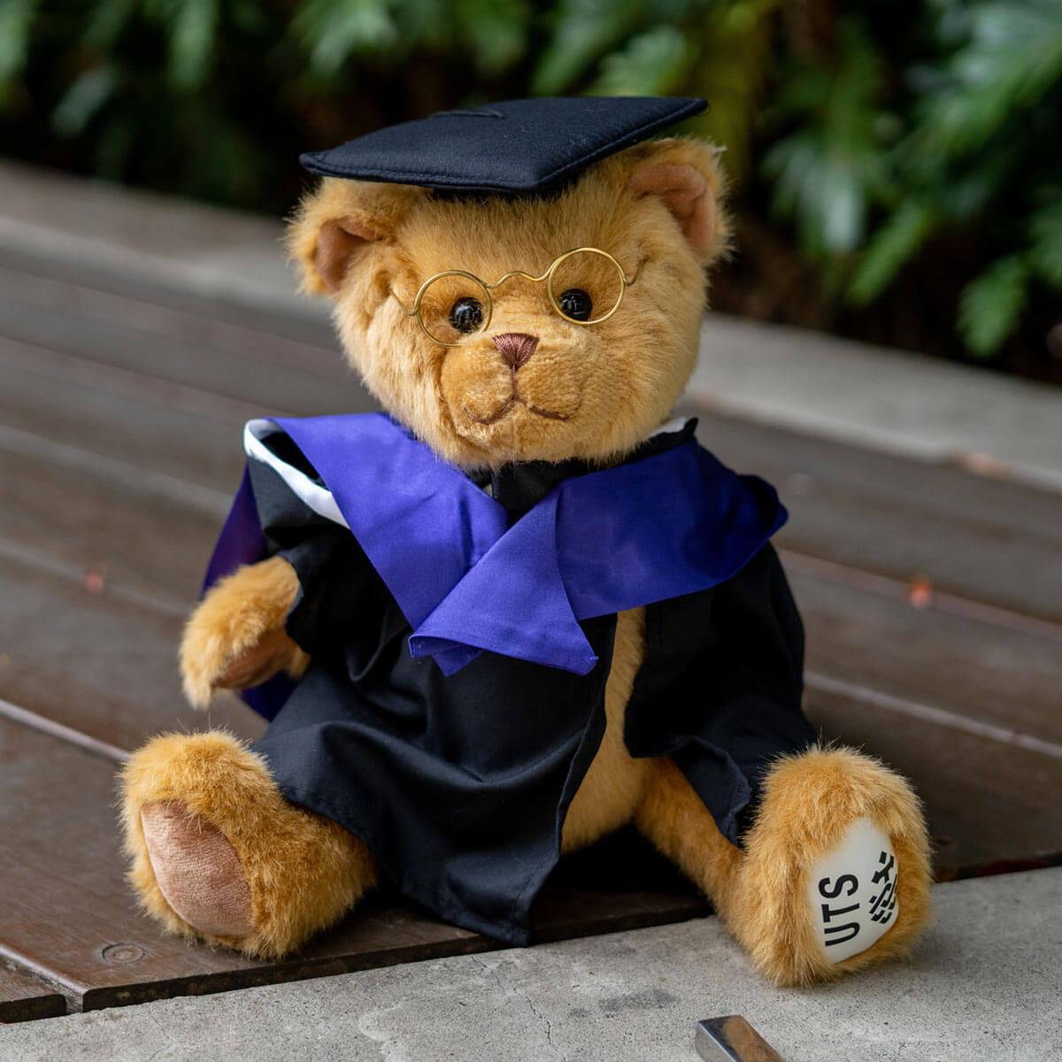 UTS Goldie Bear with Graduation Hood Activate UTS