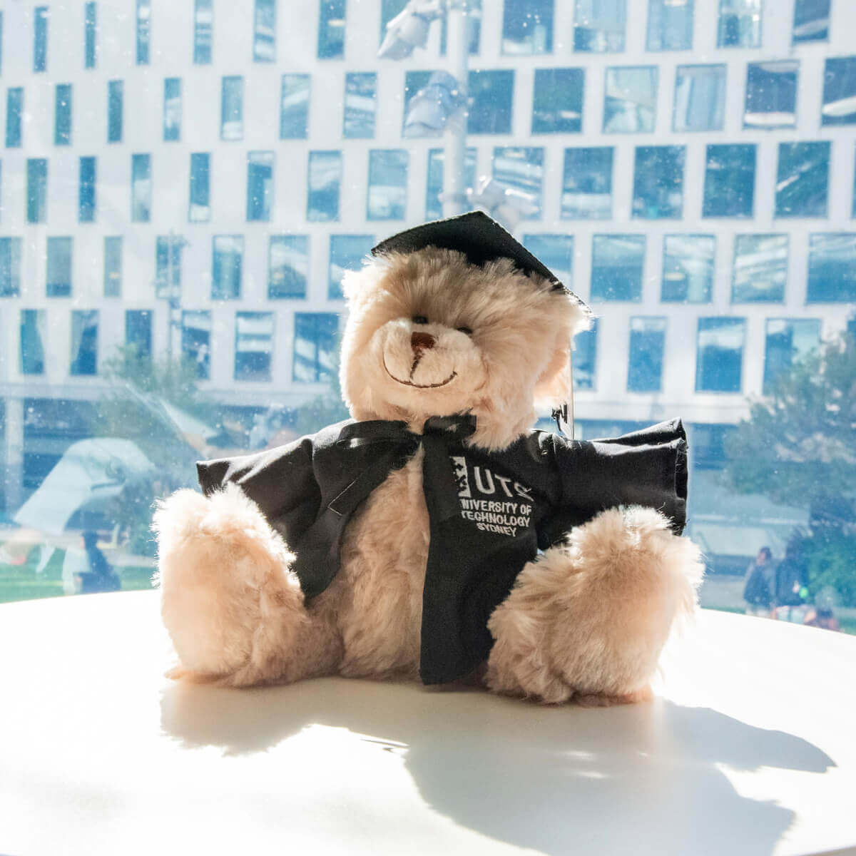 UTS Graduation Bear Frankie Activate UTS